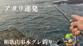 和歌山県串本でグレ釣り [upl. by Enilrem445]