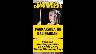 Pagkakaiba ng Kalinangan  Pangkatetnolinggwistiko sa Kapuluang Timog Silangang Asya [upl. by Adnilym]