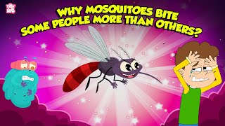 Why Mosquitoes Bite Some People More Than Others  Mosquito Facts  The Dr Binocs Show [upl. by Atteuqahc]