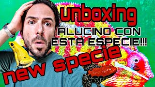 UNBOXING de HAMM Tritones Ranas Lagartos Y un NUEVA ESPECIE que nos ha dejado FLIPANDO 🐸🐍🦖🐉 [upl. by Baecher968]