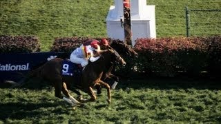 1998 Breeders Cup Mile  Da Hoss  Post Race [upl. by Nollat]