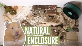 Natural hamster cage update [upl. by Erastes]