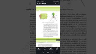 viroids prions lichens biological classification chapter number 2 NEET CBSE NCERT reading [upl. by Elissa]