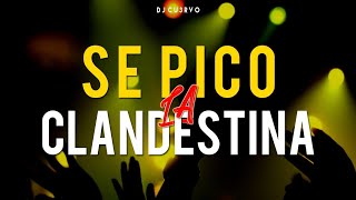 •🔥 SE PICO LA CLANDESTINA 2 🔥•  ALTA JODA  FIESTA 2021  LO MEJOR   DJ Cu3rvo [upl. by Nellie]