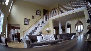 Earthquake captured on home cameras the moment it shakes NJ [upl. by Anialam]