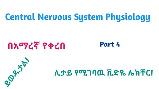 Physiology Central Nervous System Physiology Part 4 Helpful Video Lecture in Amharic Speech [upl. by Chemosh]