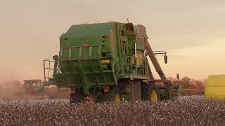 John Deere CP770 and CP690 Picking South Georgia Cotton SCOTT FARMS 2021 COTTON HARVEST DAY 3 PT3 [upl. by Nnyleimaj]