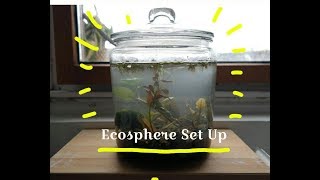 Big Ecosphere Set Up from local lake [upl. by Braeunig]