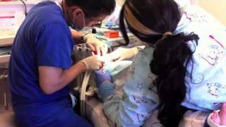 My First Dental Procedure 42811 [upl. by Clinton]