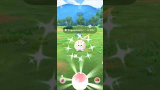 Shiny Togedemaru  Pokémon GO Spotlight Hour  newshiny shinyhunter shiny [upl. by Acinomaj119]