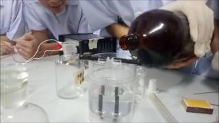 Electrolysis by using more concentrated HCl solution [upl. by Aileda]