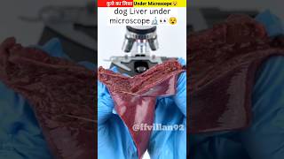 कुत्तेकालिवरUnderMicroscope😵shortsyoutubeshortsshortvideosMrBeast [upl. by Akiras684]