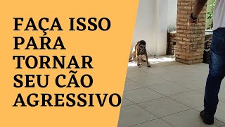 APRENDA A TREINAR SEU CÃO PARA ATACAR [upl. by Briney]