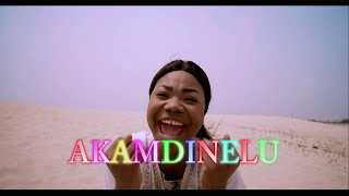 Mercy Chinwo  Akamdinelu  Instrumental Cover [upl. by Kelsey944]