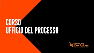 UFFICIO DEL PROCESSO [upl. by Engedus]