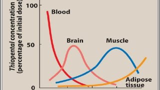 General Anesthetics 2  Pharmacology [upl. by Eudora367]