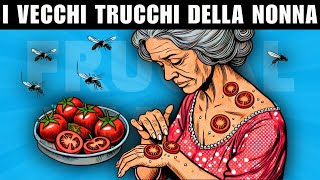 29 Segreti della Nonna Che Ti Faranno Risparmiare Tempo [upl. by Lux]