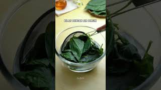 Resep segar es cincau hijau madu endeus food shorts dessert cooking kuliner resepminuman [upl. by Htnamas]