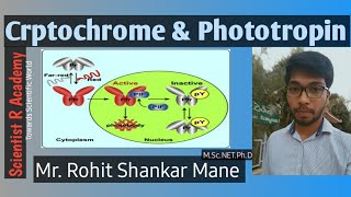 Photomormhogenesis2CryptochromePhototropinPlant PhysiologyHindiCSIRNETGATERohit Shankar Mane [upl. by Erasmus]