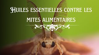 Huiles essentielles contre les mites alimentaires [upl. by Coriss]