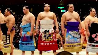 日馬富士公平 Harumafuji’s Retirement Ceremony [upl. by Pepita638]