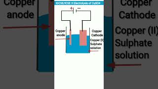 IGCSE ICSE Electrolysis of CuSO4 using Cu electrodes [upl. by Shanna]