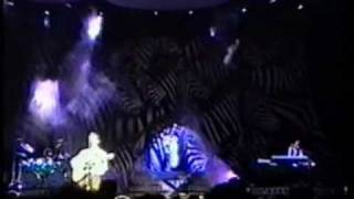 Pooh  Diritto damare  Live 1997 [upl. by Syst]