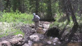 Episode 4 Greenback Cutthroat Trout in Colorado [upl. by Wickham]