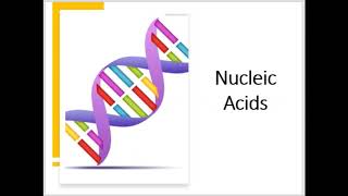 Nucleic Acids Made Easy [upl. by Longwood]