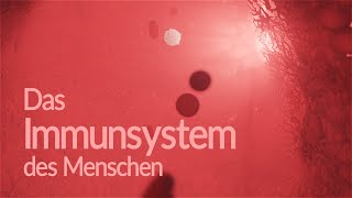 Immunsystem des Menschen  Aufbau und Funktion Animation [upl. by Susumu]