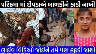 પરિક્રમા દરમિયાન દિપડાએ હુમલો કરતા બાળકી નું થયું   Girnar parikrama 2023  Junagadh [upl. by Conrad252]