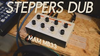 Steppers amp Dub wMAM MB33 Tb303 clone jam session [upl. by Eba]