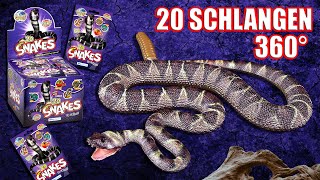 Planet Wow  alle 20 Snakes  Schlangen aus der Sammlung in 360°  ohne Heftbeilagen [upl. by Erdeid]