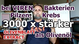 Olivenblattextrakt 3000 mal wirksamer als Olivenöl Viren BakterienKrebs [upl. by Norb]