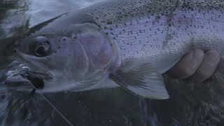 Trout Spey  Big Oregon Rainbow [upl. by Giacinta272]