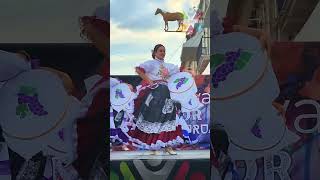 Las Bordadoras  Aguascalientes Grupo Folclórico independiente Ollín Yoliztli de Aguascalientes [upl. by Alcina139]