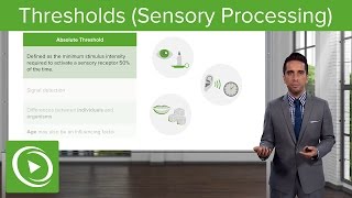 Thresholds Sensory Processing – Sensing the Environment  Lecturio [upl. by Aisercal945]