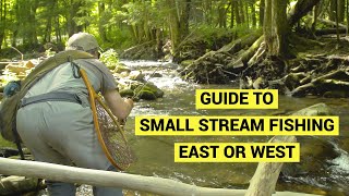 Small Stream Fishing  What You Need to Know [upl. by Petronella227]