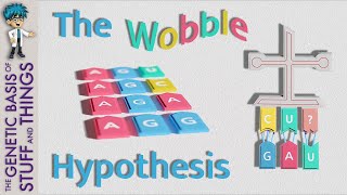 A little wobble hypothesis goes a long way explaining codonanticodon interactions [upl. by Lauer529]