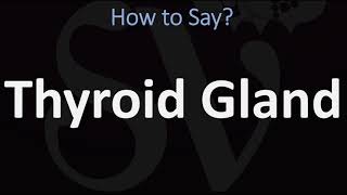 Why You Should Avoid Mono and Diglycerides in Food  TWFL [upl. by Ellehcirt]