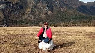 Grassland in Ramaroshan region Achham [upl. by Ashien]