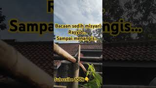 🥲 masyaalloh misyarirasyid fyp shorts bacaanalquran yangSubsribeMasukSurga [upl. by Mascia]