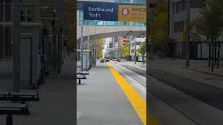 Siemens S200 Train Arriving at 6 Street SW Station calgarytransit train ctrain calgary lrt [upl. by Eirahs]