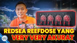 RED SEA REEFDOSE  VERY ACCURATE AUTOMATIC DOSING [upl. by Cissy513]