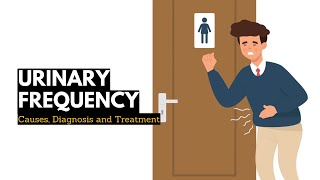 Urinary Frequency Causes Signs and Symptoms Diagnosis and Treatment [upl. by Sucul519]