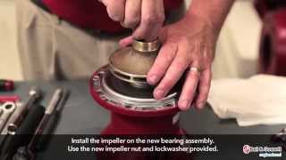 Xylem Bell amp Gossett Series 60 Pump Maintenance Part 6 Reinstallation [upl. by Yesnel541]