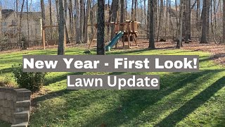 New Year Lawn Update First Look 2024 Dormant Bermuda Fescue North Georgia [upl. by Oirevas]