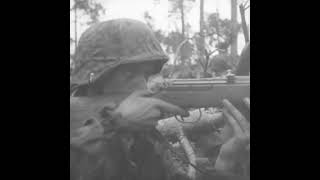 Gewehr 43 in action on the Eastern Front in 1944 [upl. by Shulman597]