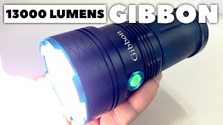 Is the 28 Gibbons Super Bright LED Flashlight Worth It [upl. by Reisch790]