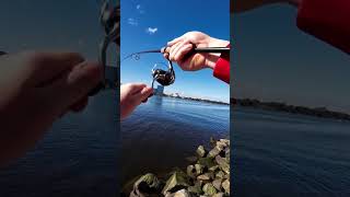 Fishing Winter Flattyhole in the Swan River [upl. by Aynek]